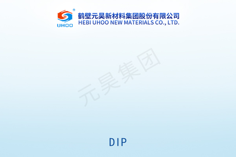 DIP